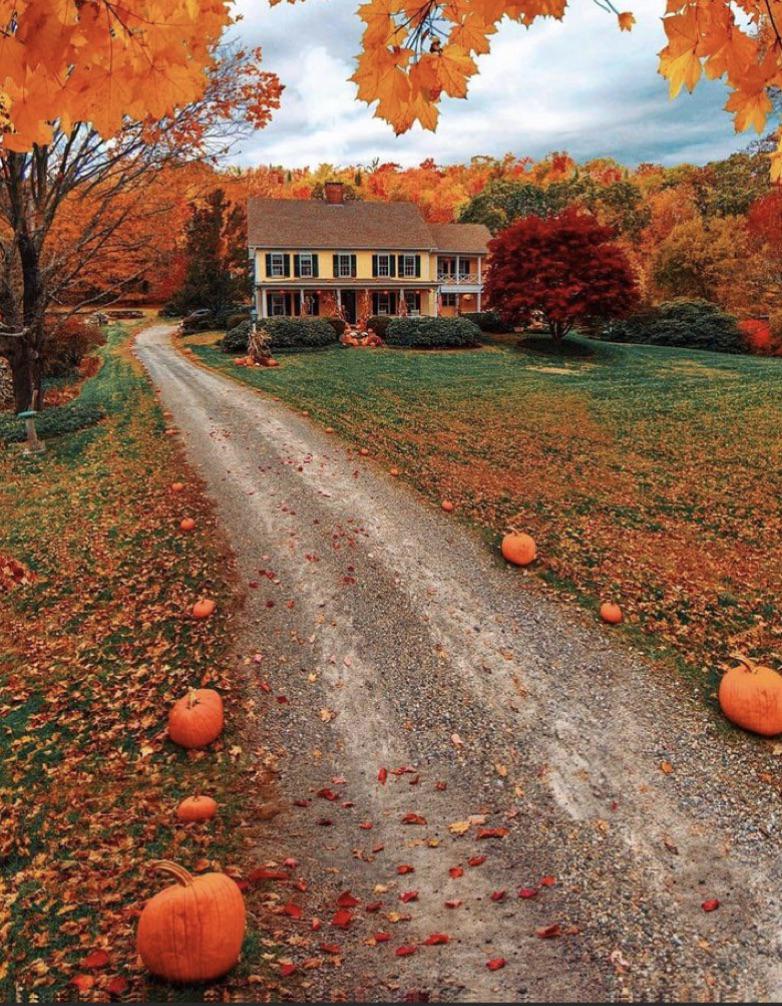 عانقوا شتاء نوفمبر، كما تعانق الأمهات أبناءهن بعد غياب، وكما تعانق الأرض أولى أمطارها بشغف. ففي نوفمبر، كل شيء يُولد من جديد... الشتاء والندى، المطر والسحاب، وحتى نحن نولد من جديد ♥️
صباح الورد والياسمين 🤍 🌹