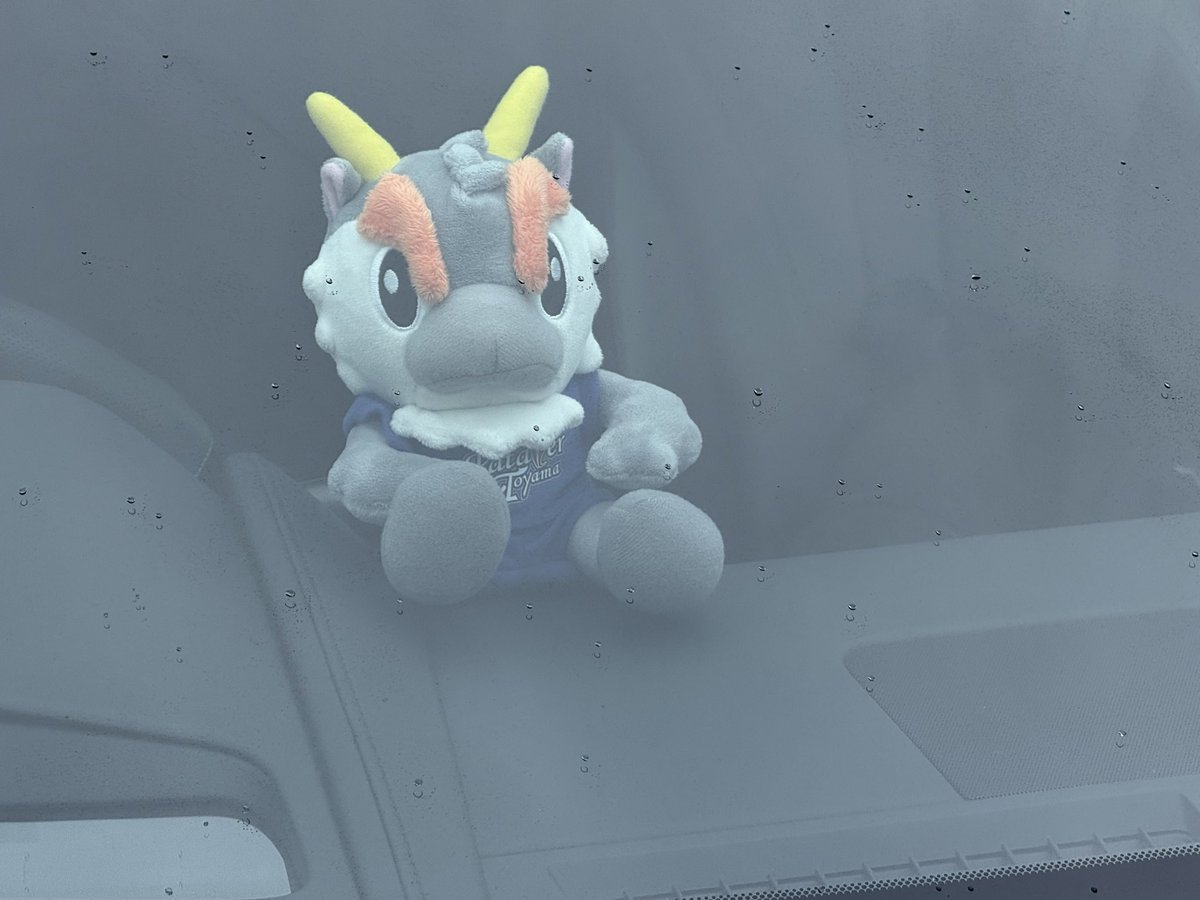 たぬきちhiroyuki.m on X