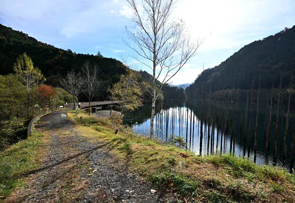 ひろりん (@hiroring0323) / Posts / X