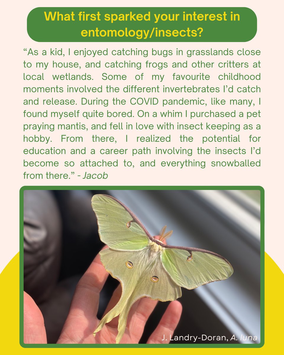 Entomological Society of Alberta tweet media