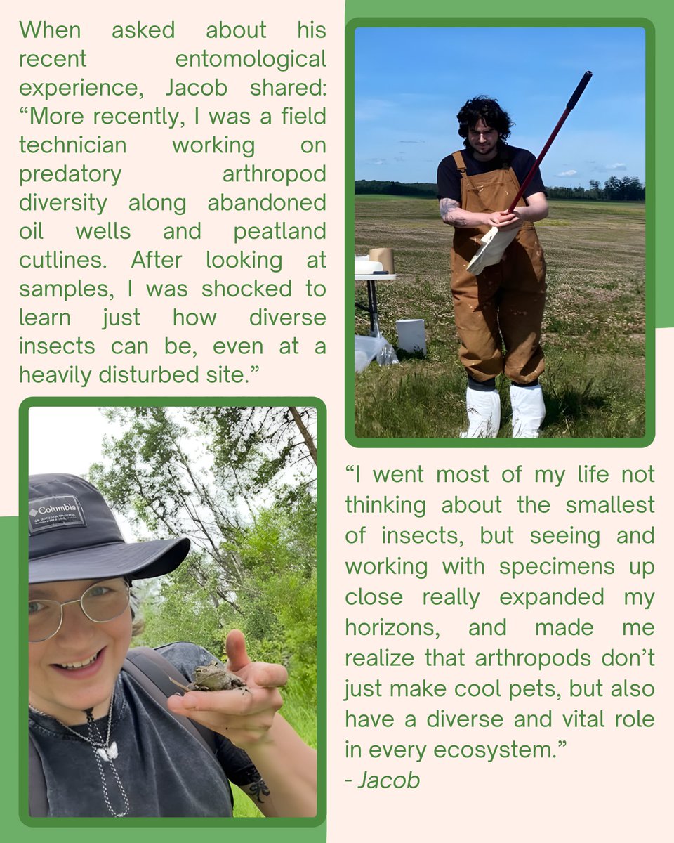 Entomological Society of Alberta tweet media