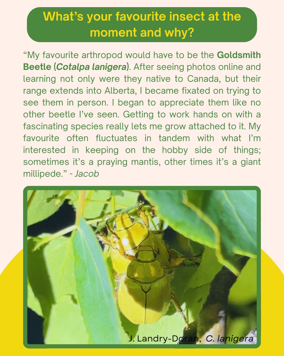 Entomological Society of Alberta tweet media