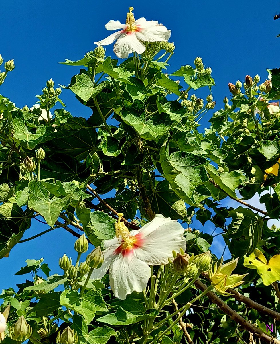 マリリン(sub) (@MRE_love3333) / Posts / X