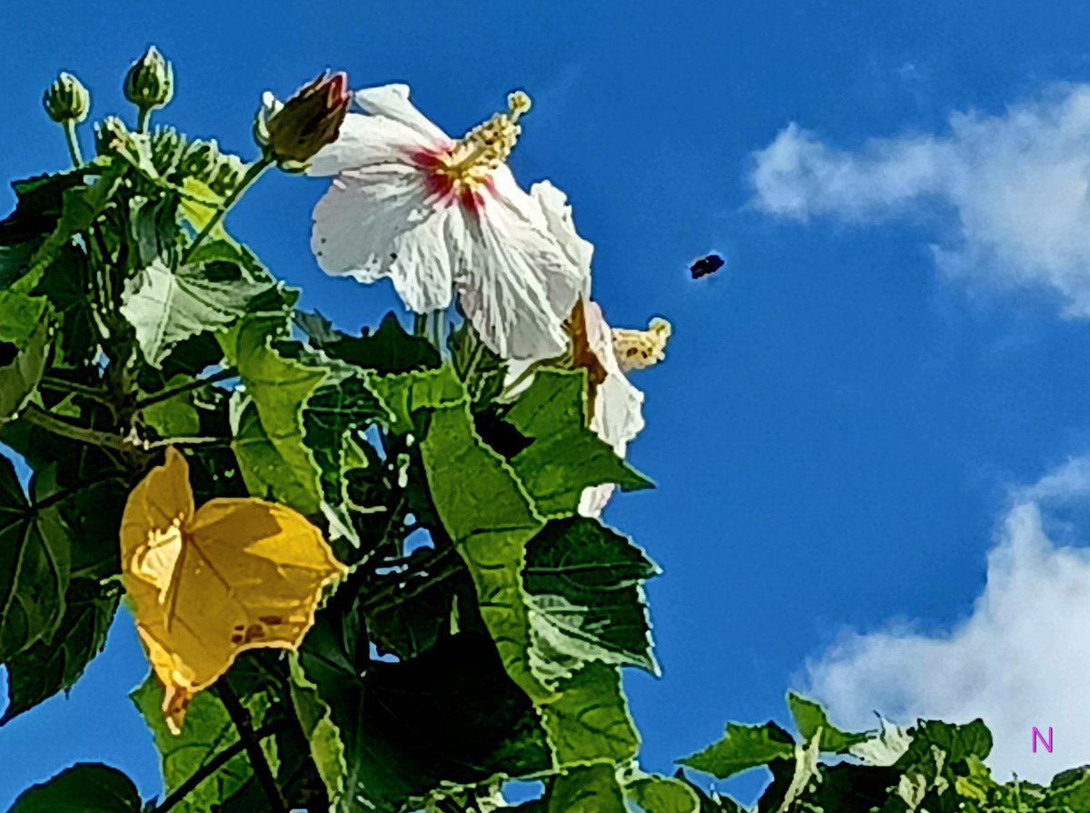 マリリン(sub) (@MRE_love3333) / Posts / X