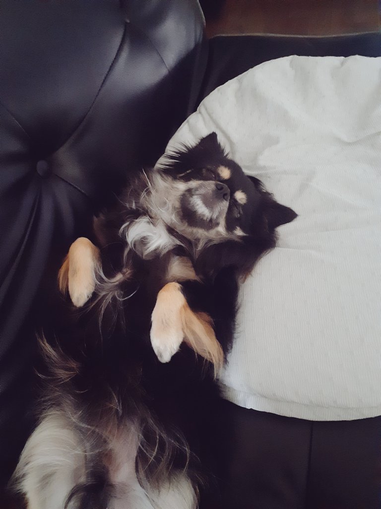 RoiSyu (@roisyu_eft) on Twitter photo 