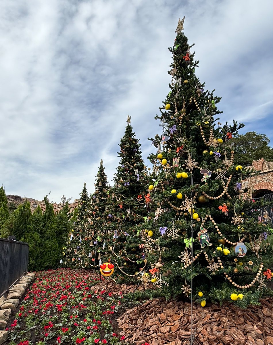 🧡ぐれいす🌋🟢🐶 on X