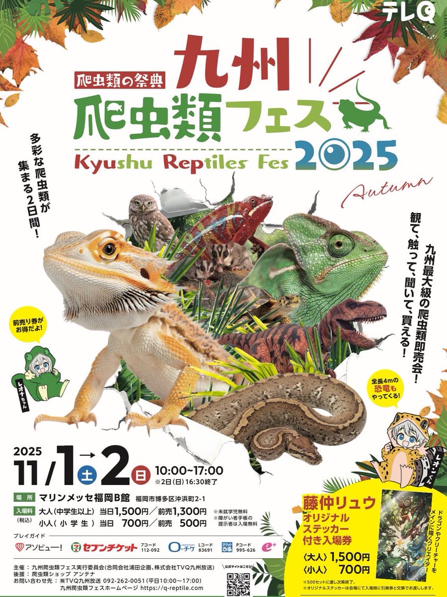 FReptiles's tweet image. おはようございます！
「九州爬虫類フェスAutumn」最終日
ただいま10時開場しました！！！

今日は何とか設営間に合いました。
当店ブースは32番✨
たくさんのご来場ご来店お待ちしております🙇🏻‍♂️

#九州爬虫類フェス  #九レプ
#ファインレプタイルズ