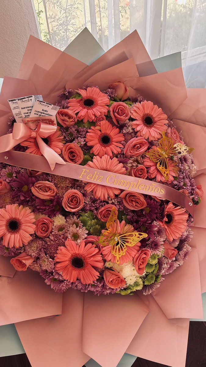 29•10•24/29•10•25 🤍