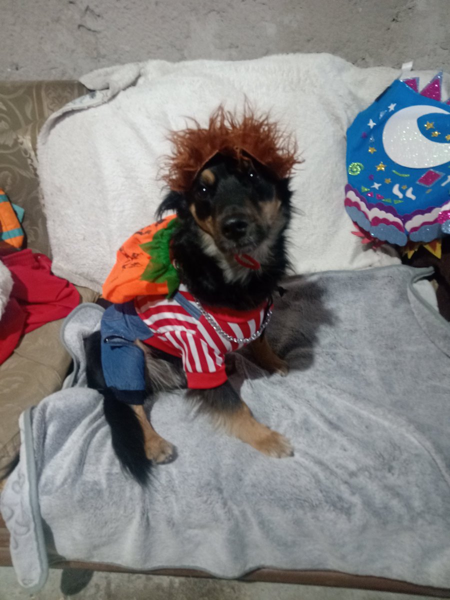 Amikos vamos a pedir calaverita