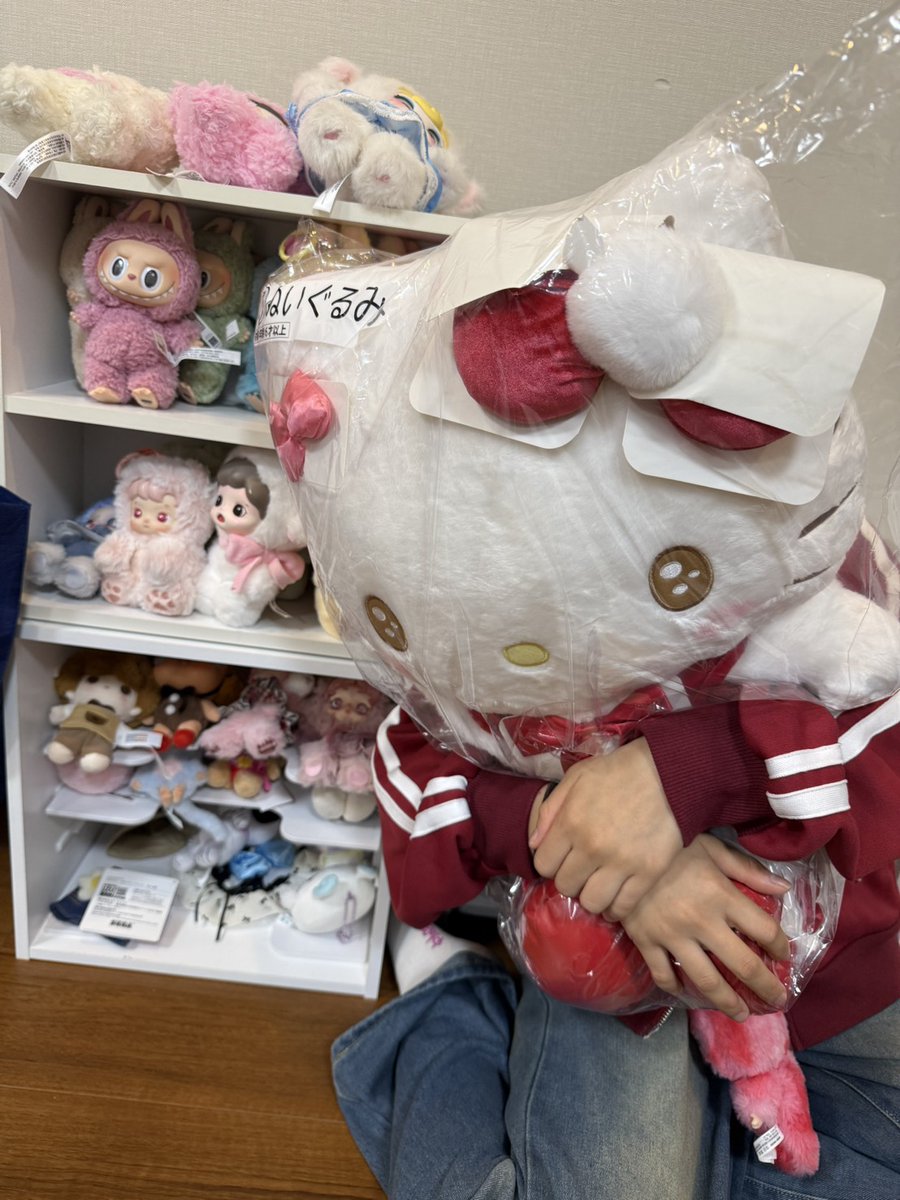 (日)おはようございます