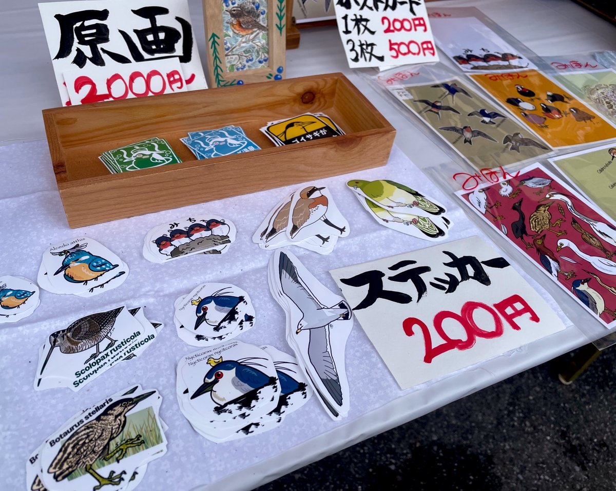 ゴイサギ vol.2 (@goi_can_fly) / Posts / X