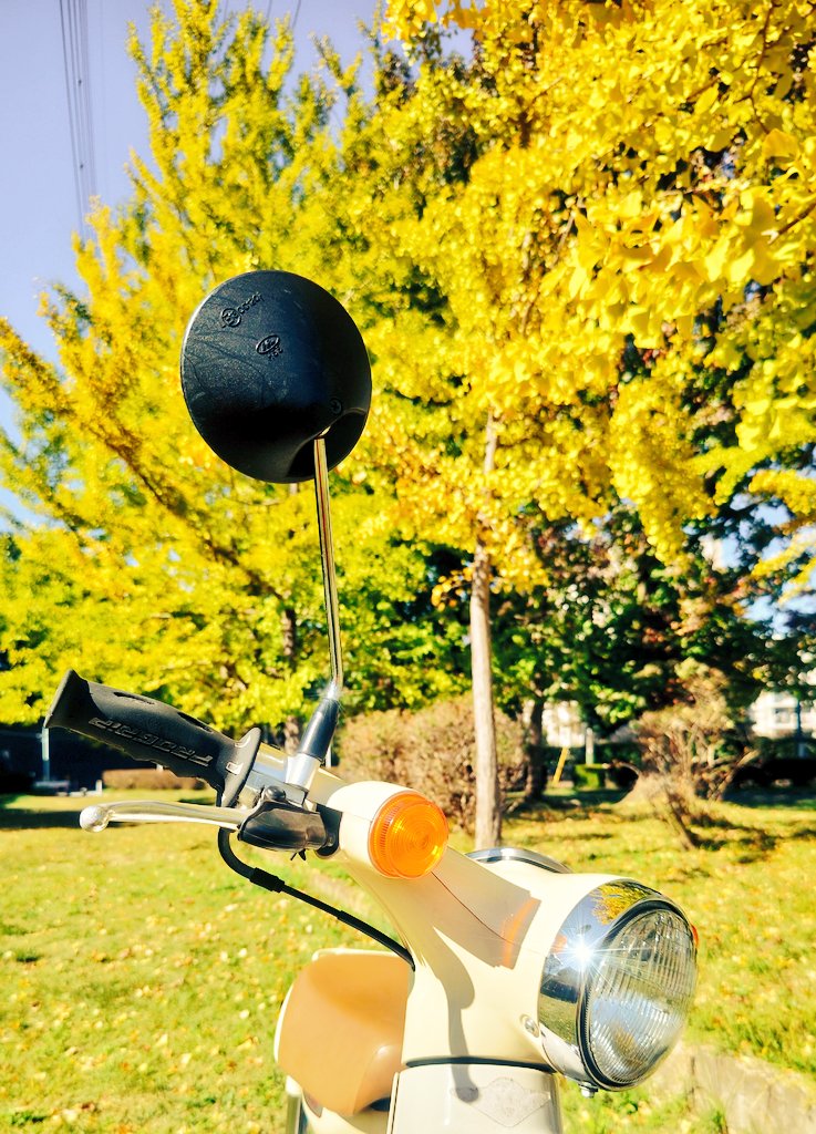 ニコです！ ZカズミRS on X