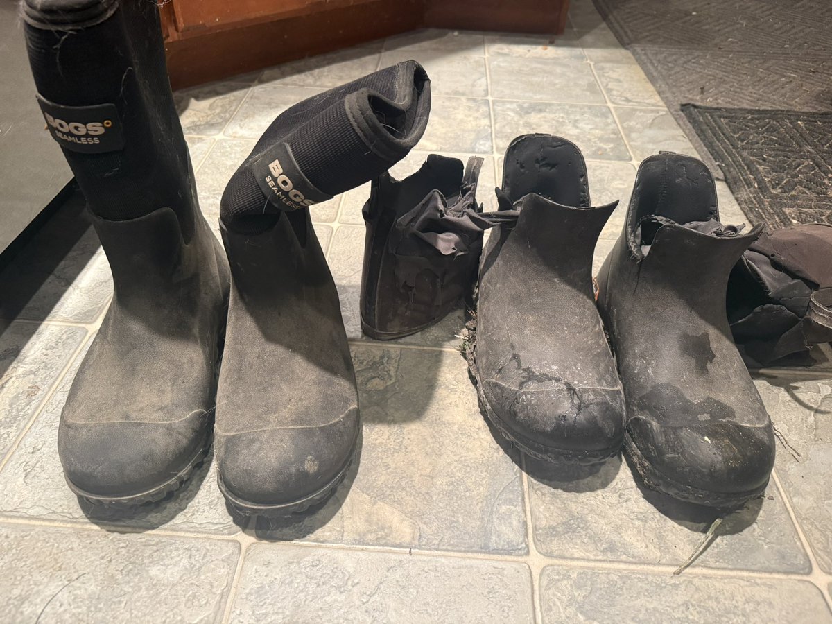 Amy_Stuart1's tweet photo. @Bogsboots1 my 16 year old has been wearing the boots on the right for at least five years!  I bought him the ones on the left at least 3 years ago and he refused to wear the new ones until the old ones were completely worn out.  He has conceded and says he will now give them up! https://t.co/GvniluRoH3