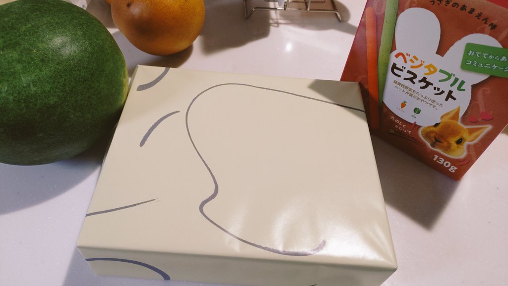 うさぎ✨ Baby rabbit 