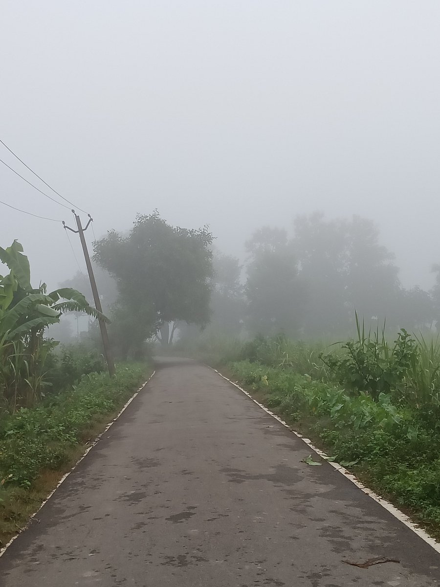 अब ठंडक दस्तक दे दी है..

देखिये सुबह का नजारा
