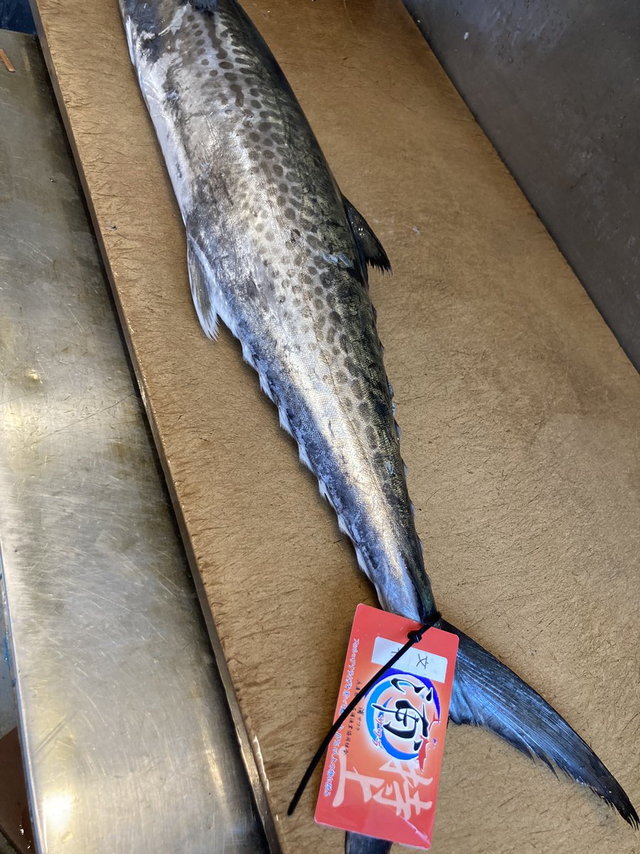 目黒区魚屋 魚桂 on X