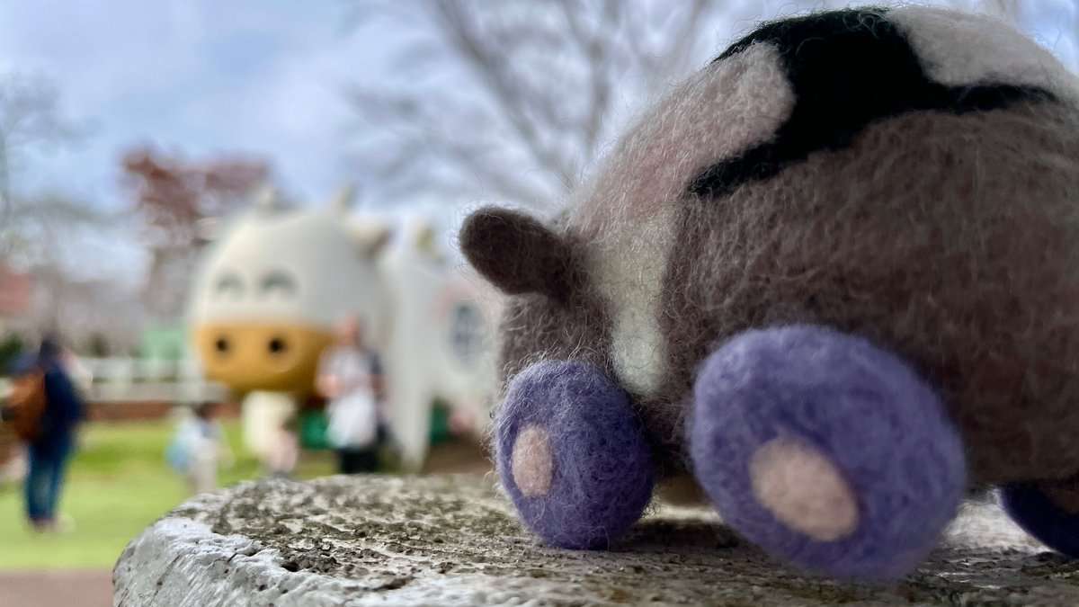 ぴんぽんぱんだ (@Cassini_Panda) / Posts / X