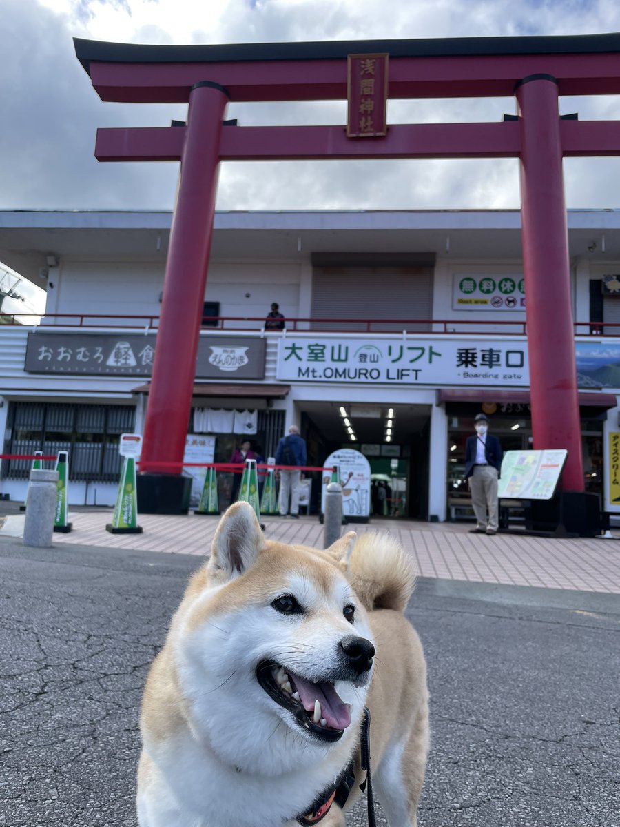 くまごろ (@kumagoro_J) / Posts / X