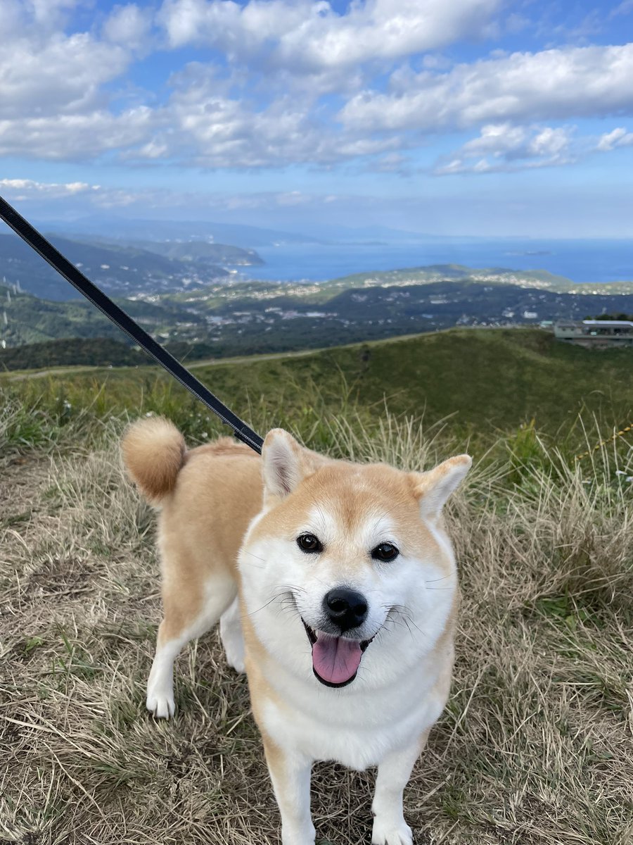 くまごろ (@kumagoro_J) / Posts / X