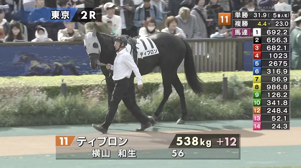 蒼乃るひあ on X