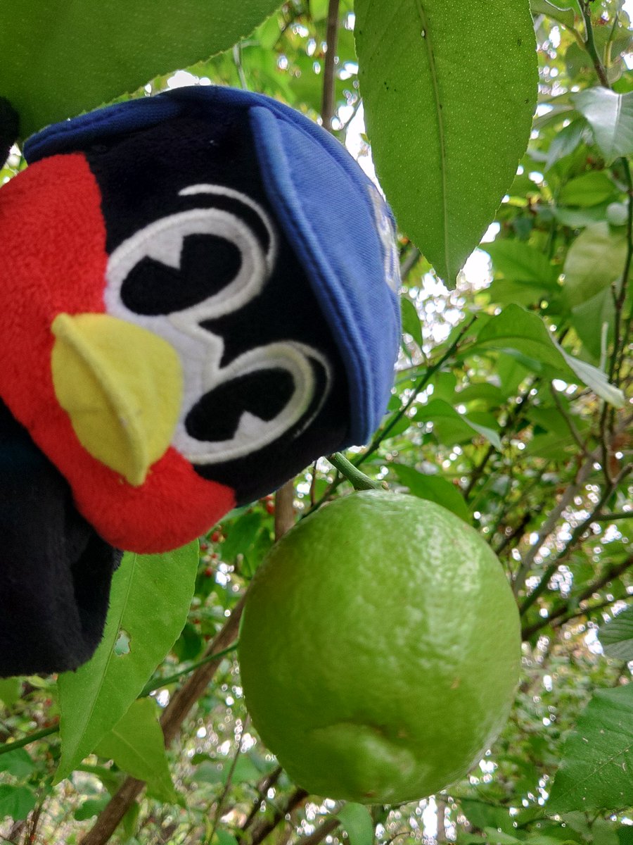 ★まろん☺︎ ４枚★ みぃみぃ on X