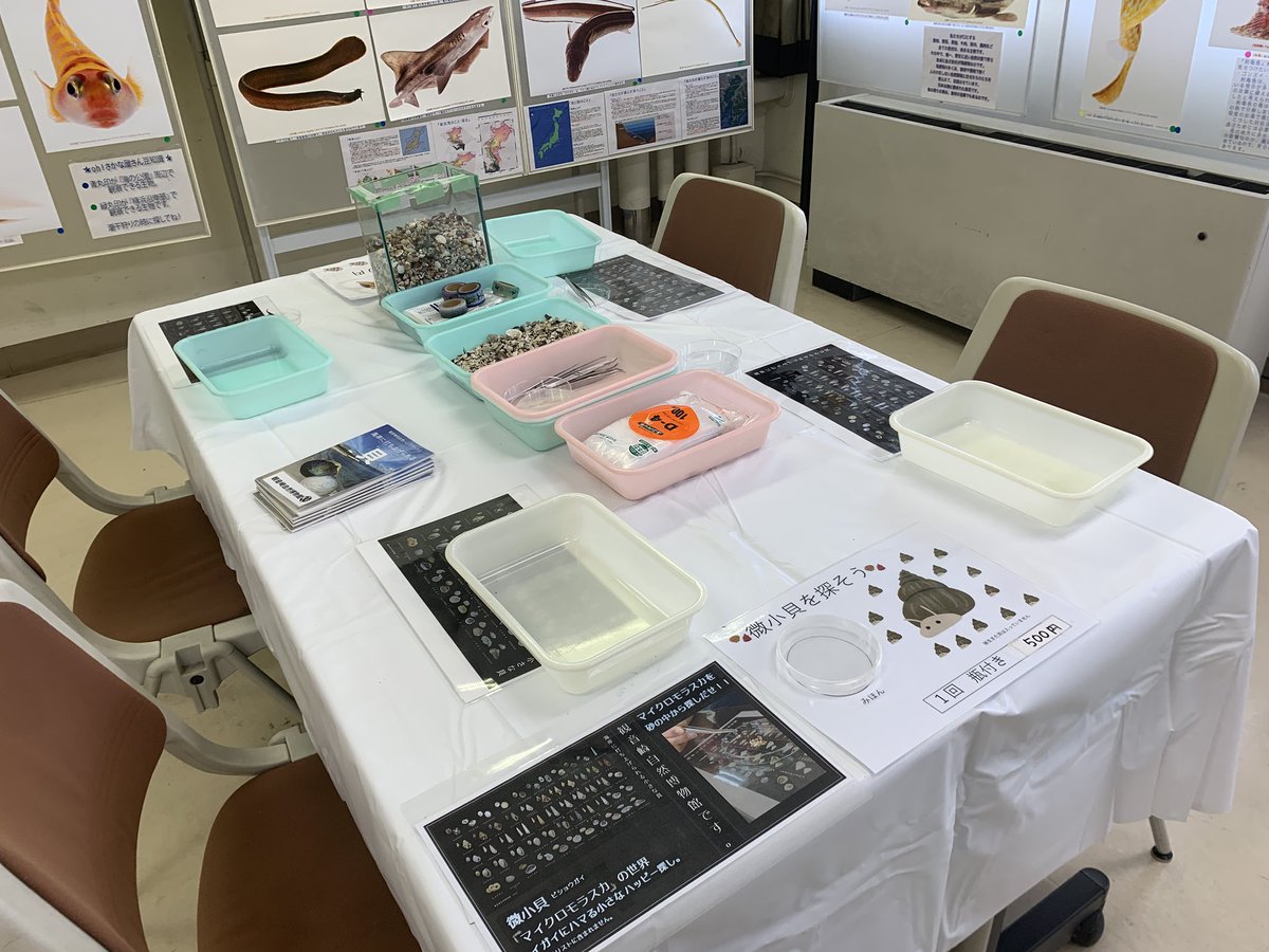 今年もやってますー