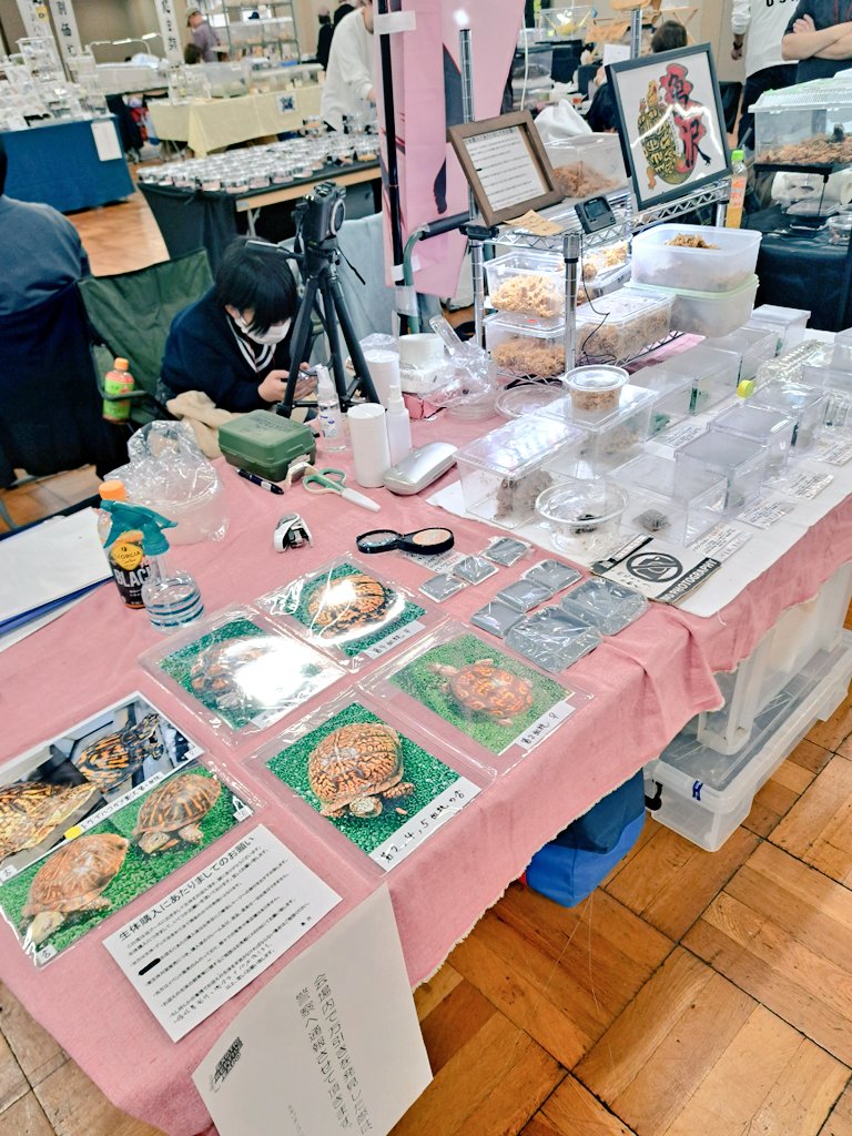 おはようございます❕🙇✨️
エキスポ台東館、はじまりました‼️
皆様どうぞ宜しくお願い致します🙇✨️
#エチゾチックレプタイルズエキスポ