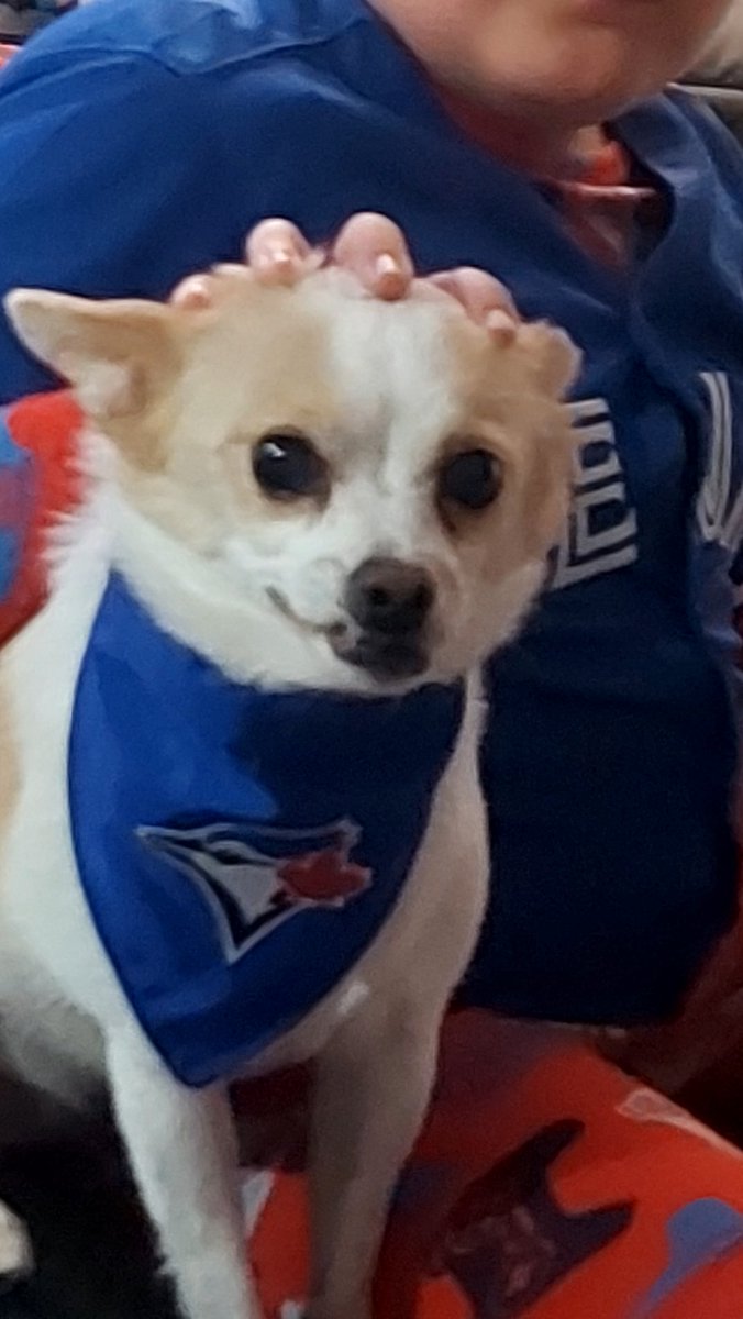 bigleafkev's tweet image. #WANTITALL