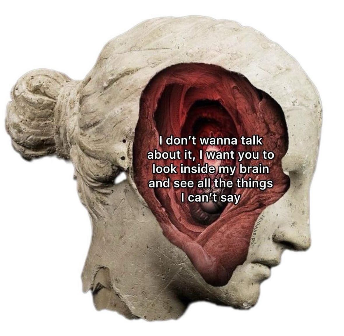 ✧ (@northstardoll) on Twitter photo 