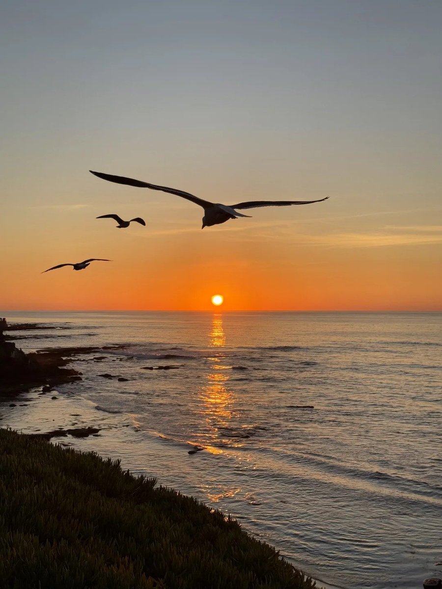 ruby63637's tweet image. Sandy toes, sun-kissed nose ☀️👣 Feeling the warm sand between my feet 🌊🏖️, listening to waves crash 🌊, soaking up golden rays 🌞🌿, and letting the ocean breeze 🌬️💛 fill me with pure bliss 🌴💖.