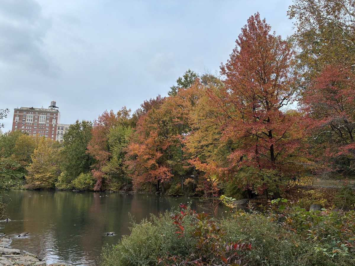 I had a truly wonderful and fulfilling six and a half years at Mount Sinai. Can't thank enough to amazing colleagues at Sinai. While I feel a bit sad to leave New York, I’m excited and hopeful that I’ll enjoy an even more rewarding time in Twin Cities!