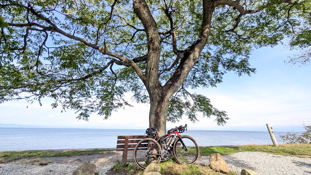 KAZU@FTP159W😑 on X