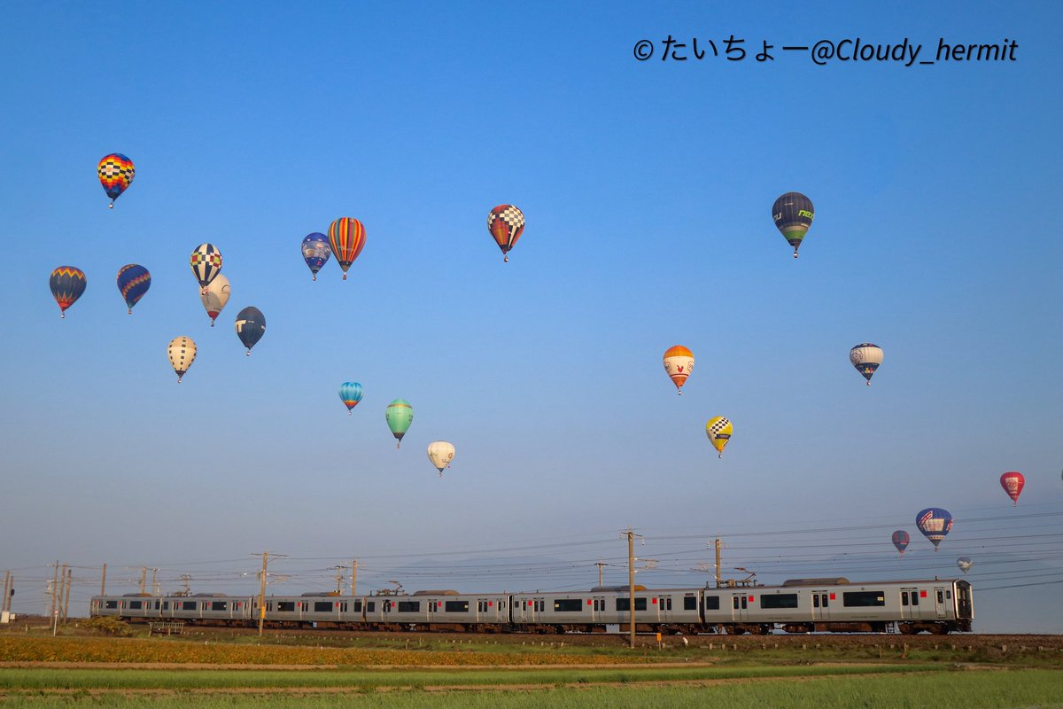 コトロ(7月18日13時頃まで) しいなとりで on X