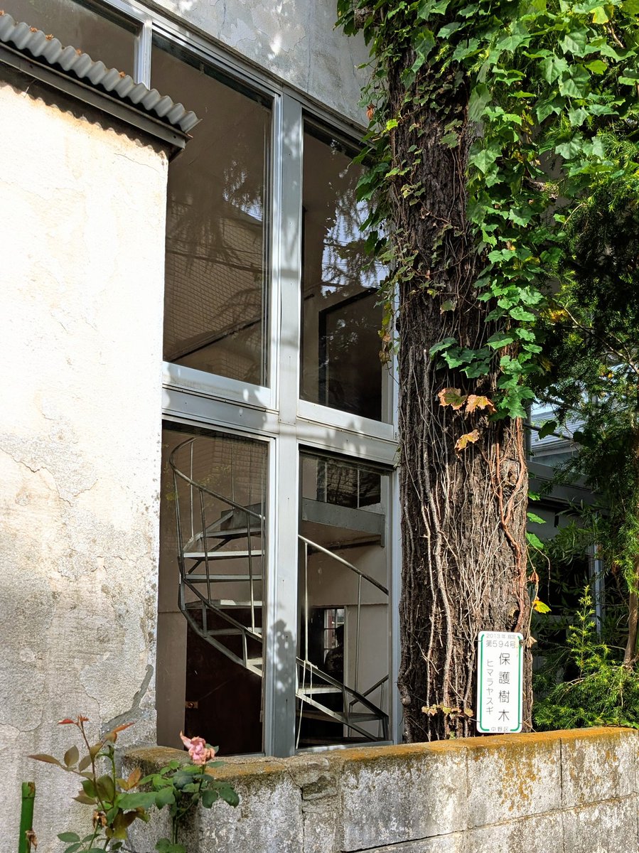 モチコ (@mochicco69) / Posts / X