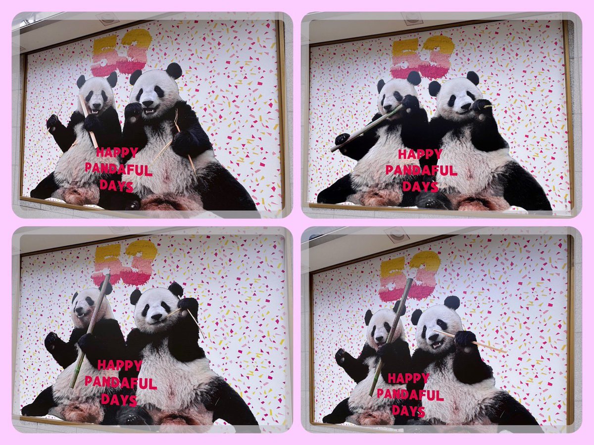 まもなく終了…🐼】 「HAPPY PANDAFUL DAYS」は11/4(火)で終了いたし
