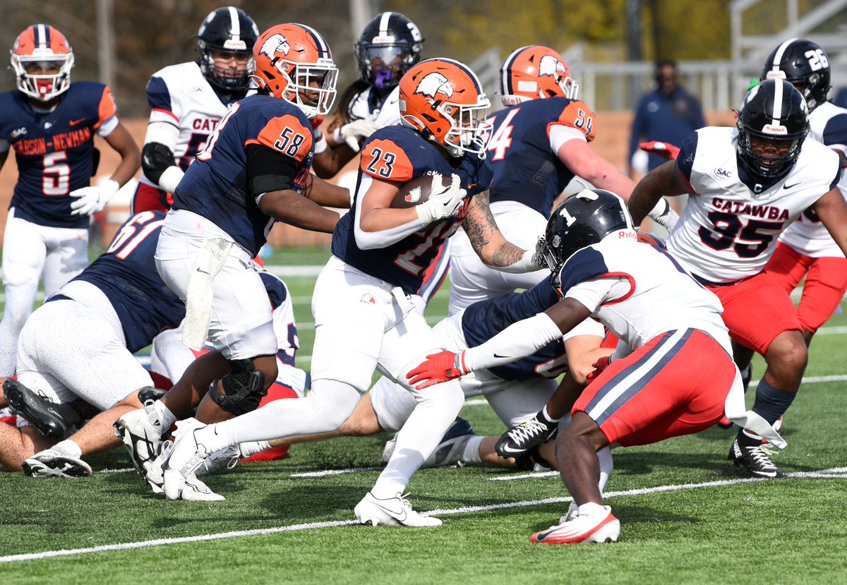 Carson-Newman Athletics tweet media