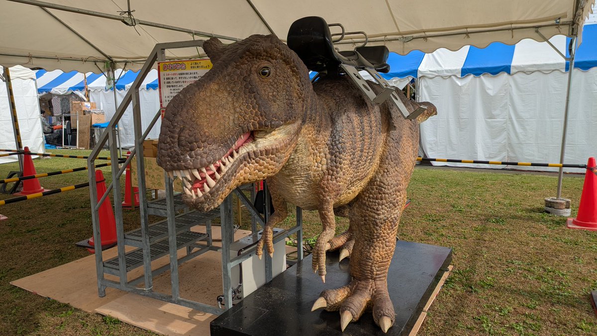 ココロ【公式】 (@kokoro_dreams) / Posts / X