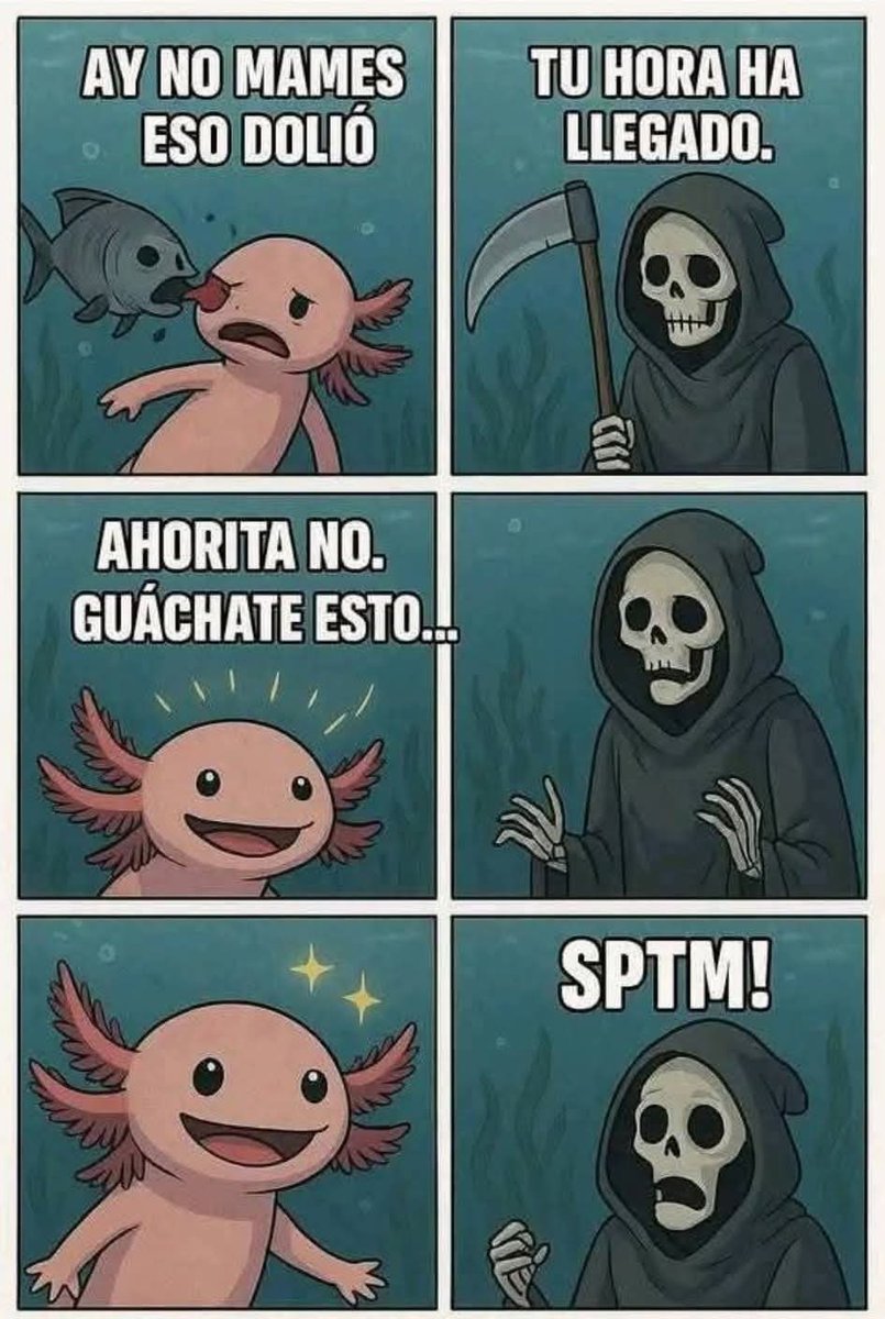 🐟 Indra 🐟 tweet media