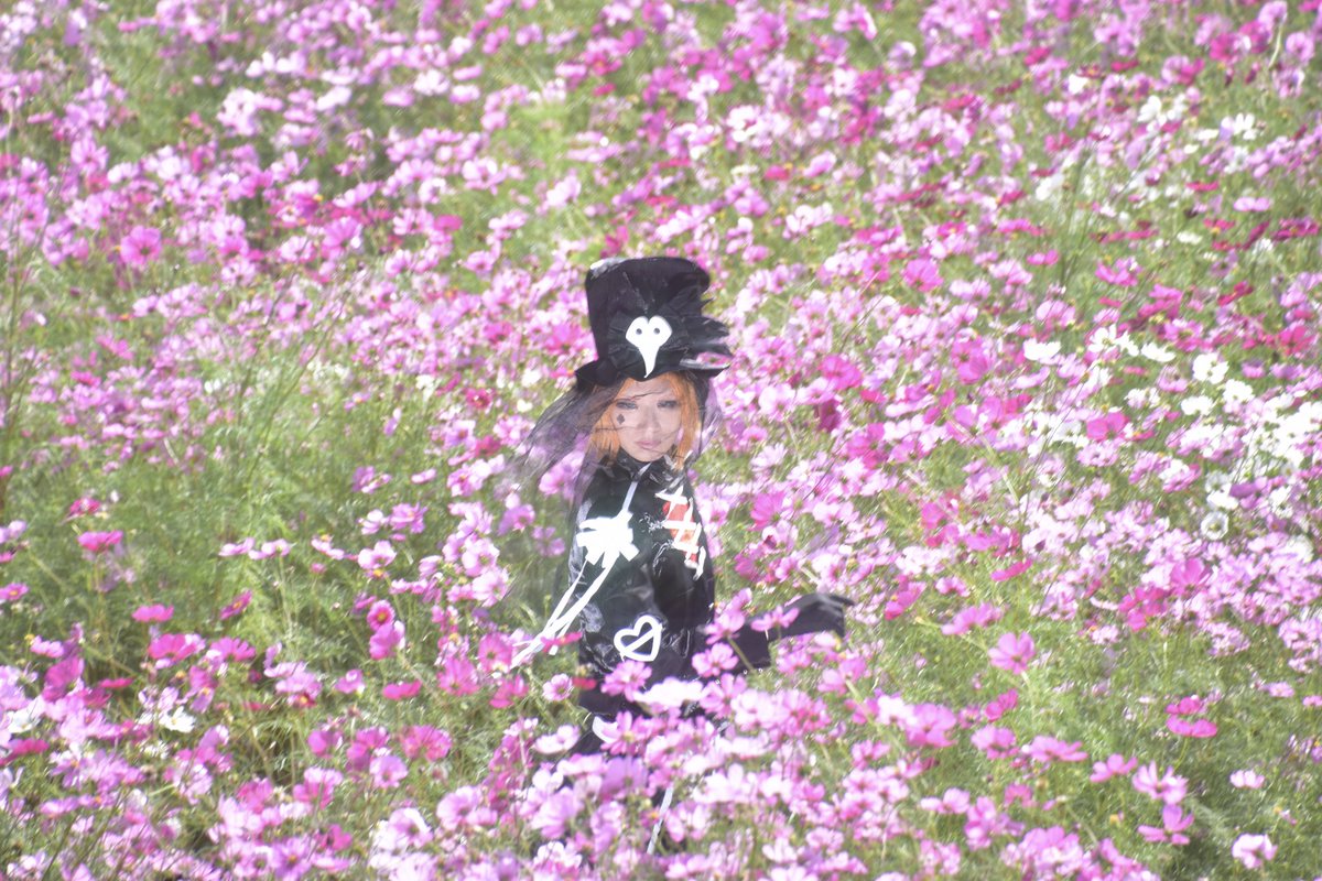 ⭐️ヒロシは専属カメラマン tweet media