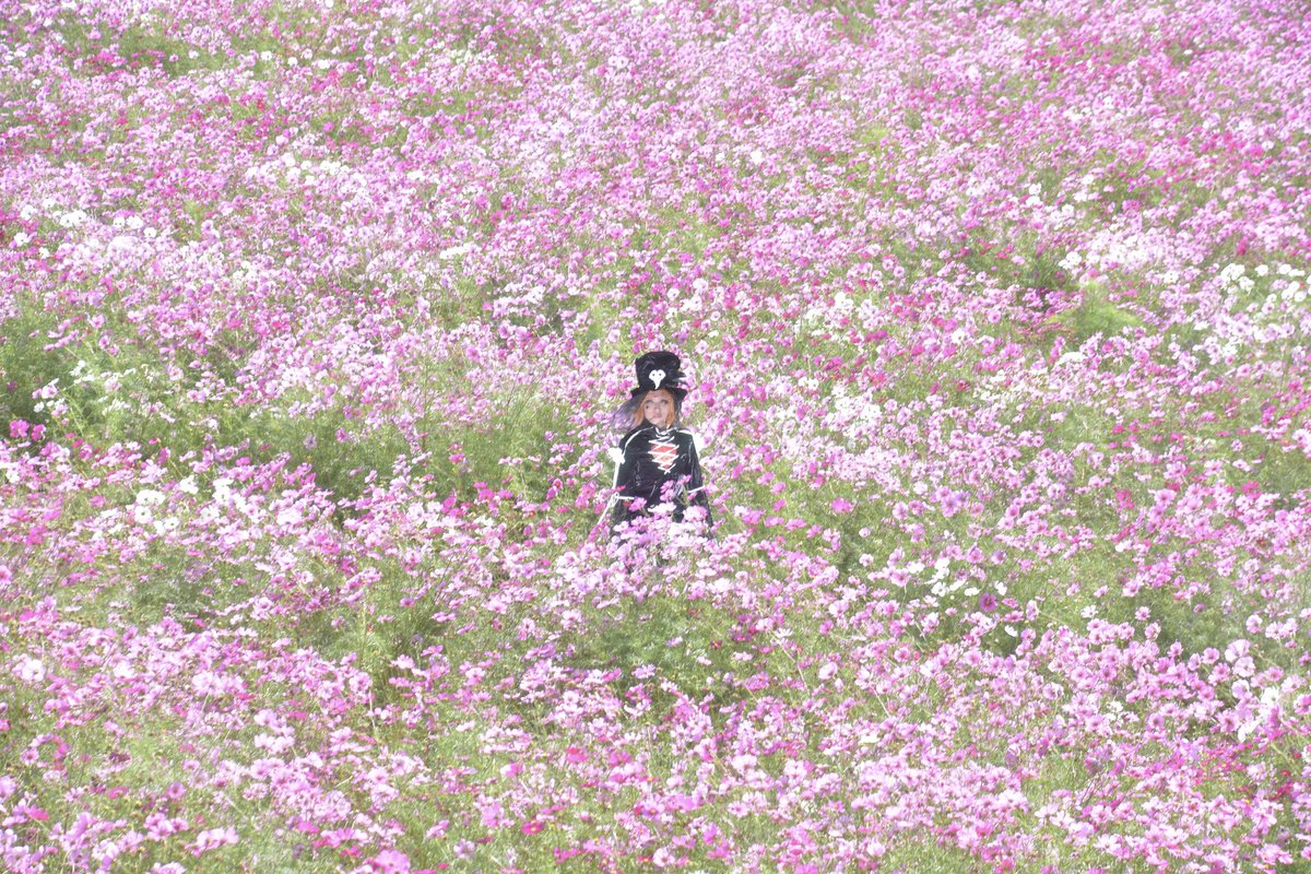 ⭐️ヒロシは専属カメラマン tweet media