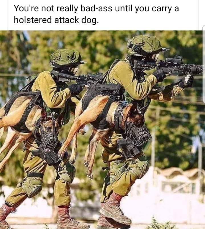 Dennis Steinhour (@DennisSteinhour) on X