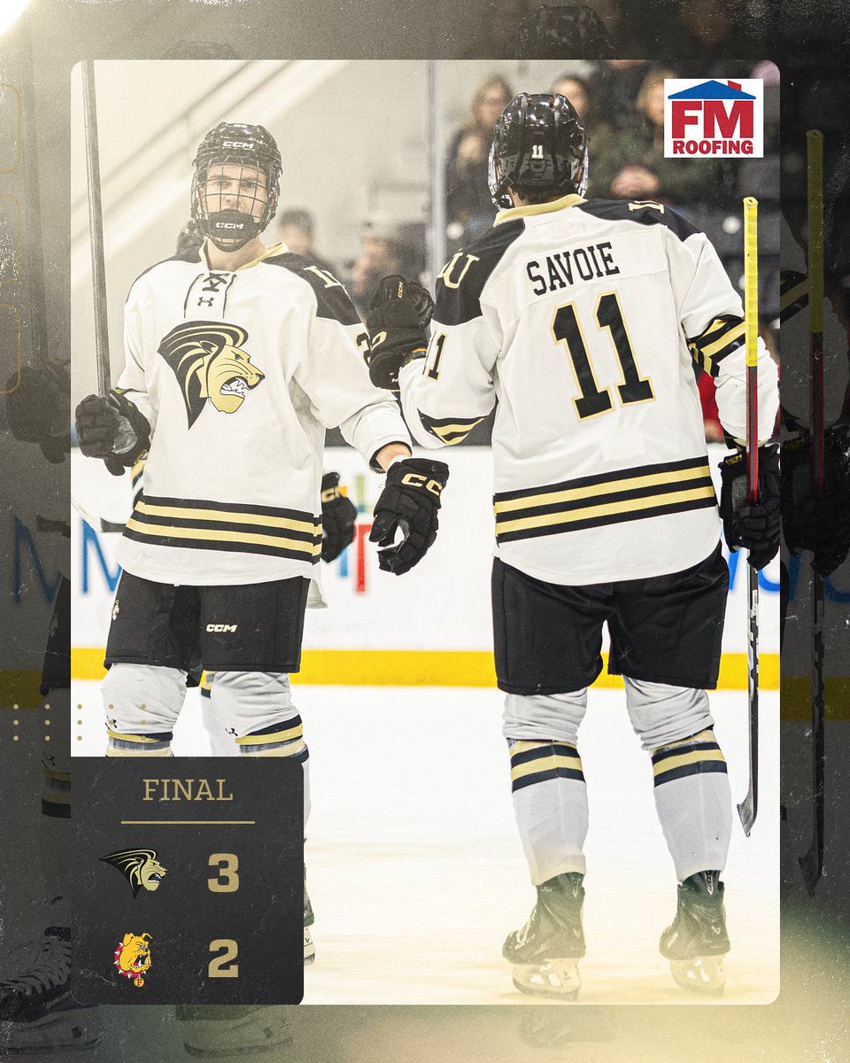 Lindenwood Hockey tweet media