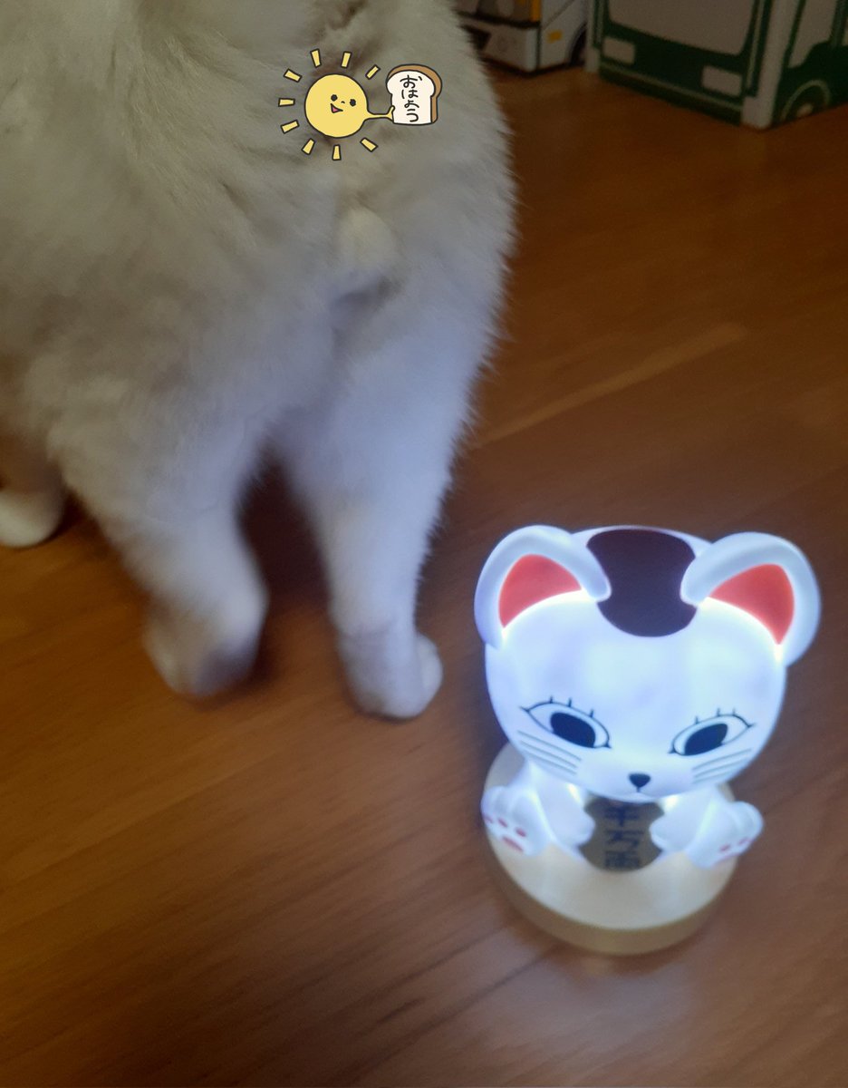 はるるん (@RNPrJ9xfX3PSoaA) / Posts / X