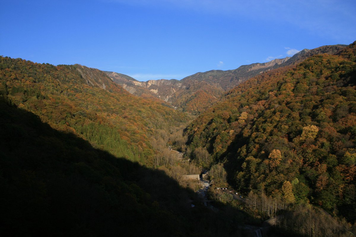 はまち tweet media