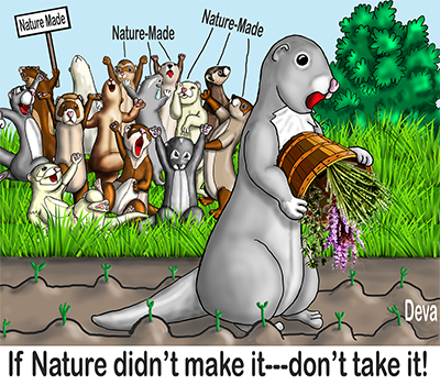 celticdeva1's tweet image. 