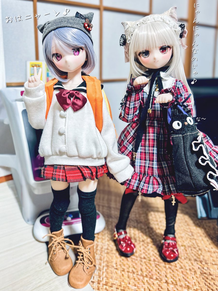 ななみじゅんこ🎀 (@ronronshuka) / Highlights / X