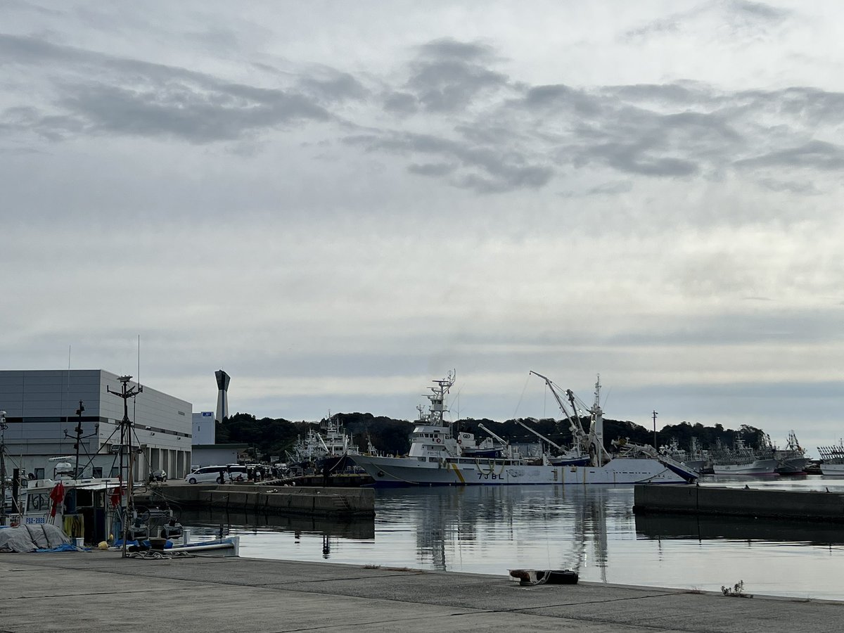海にお散歩に来た