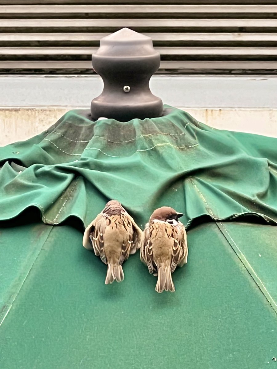 RITAO CHAN公式アカウント02 さま専用 45R⭐︎908リネンヘリンボー