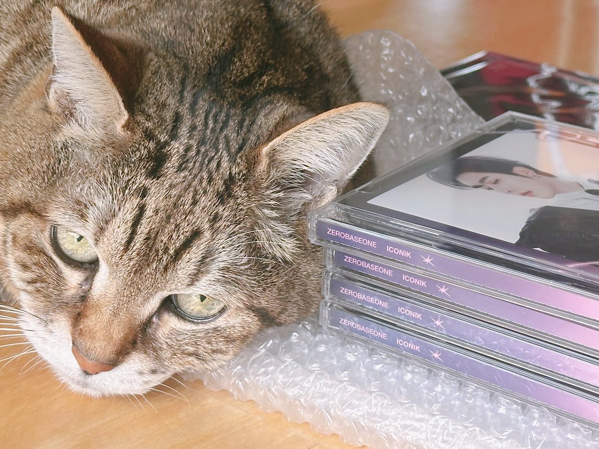 あーちゃん⚡️𝑯𝑬𝑹𝑬&𝑵𝑶𝑾 (@psy_angel_666) / Posts / X