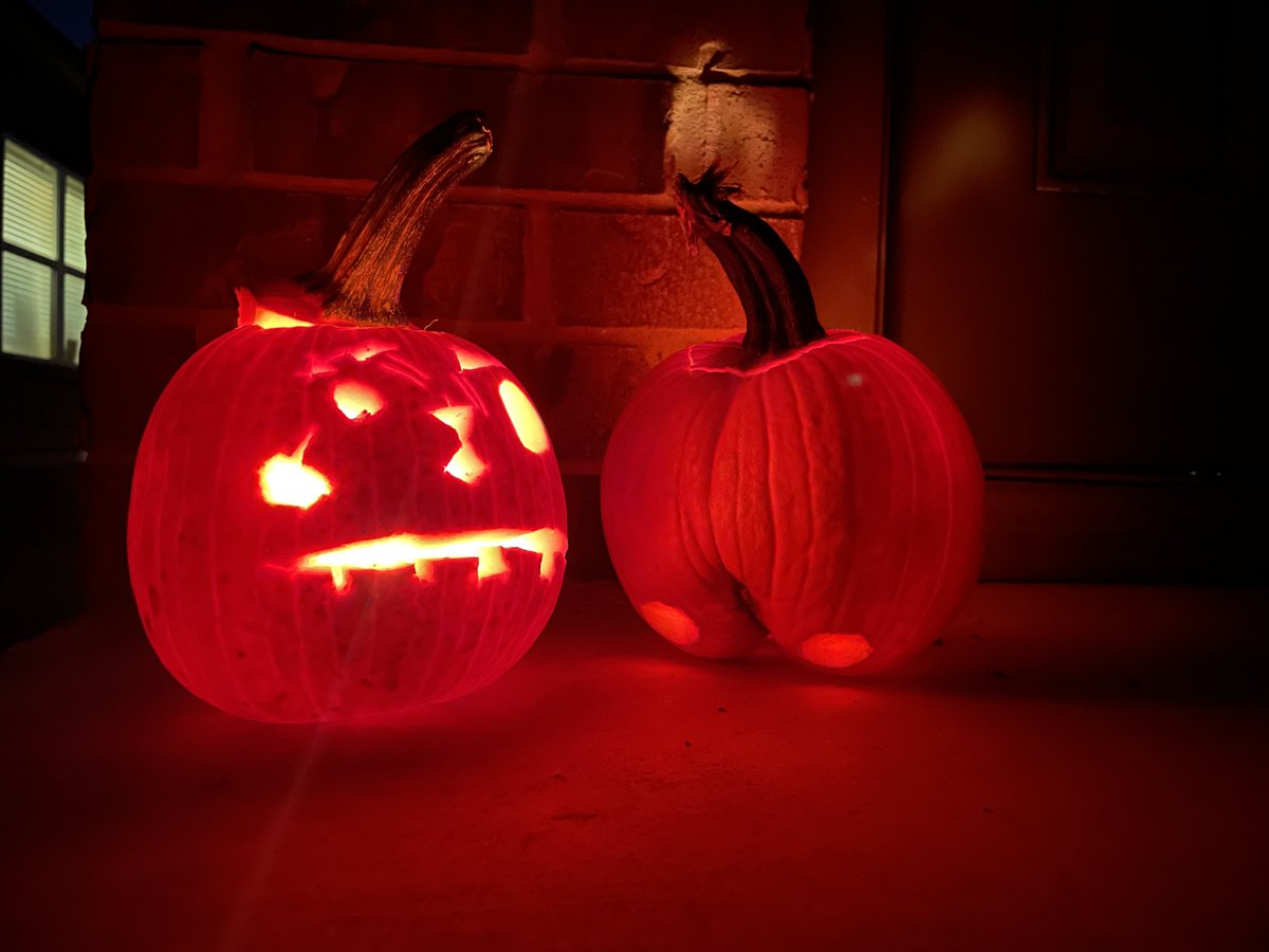 twunky_dory's tweet photo. Happy Samhain 💚🍂🦊🕯️ https://t.co/ToMm6tAIRZ